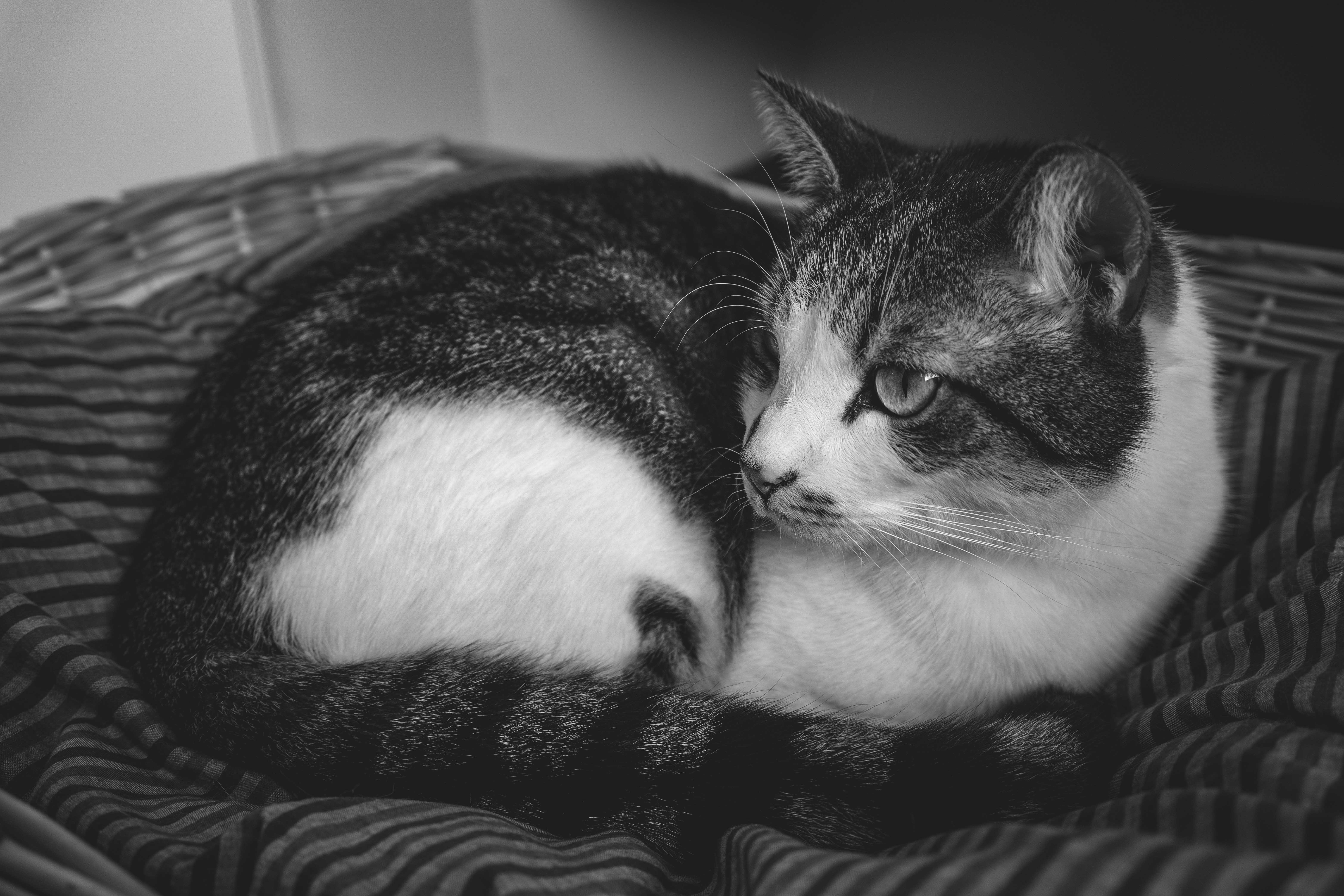 Photo by francesco_ungaro