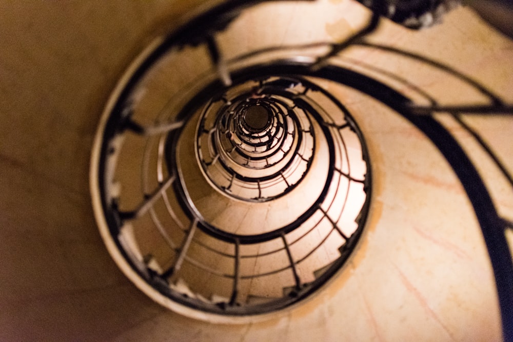 spiral staircase with black metal railings