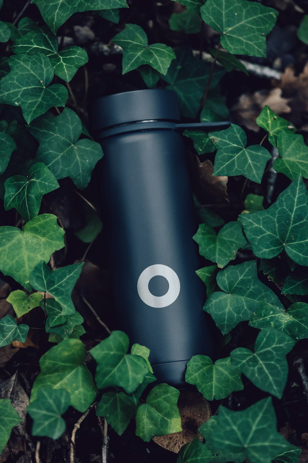 black and silver tube on green leaves