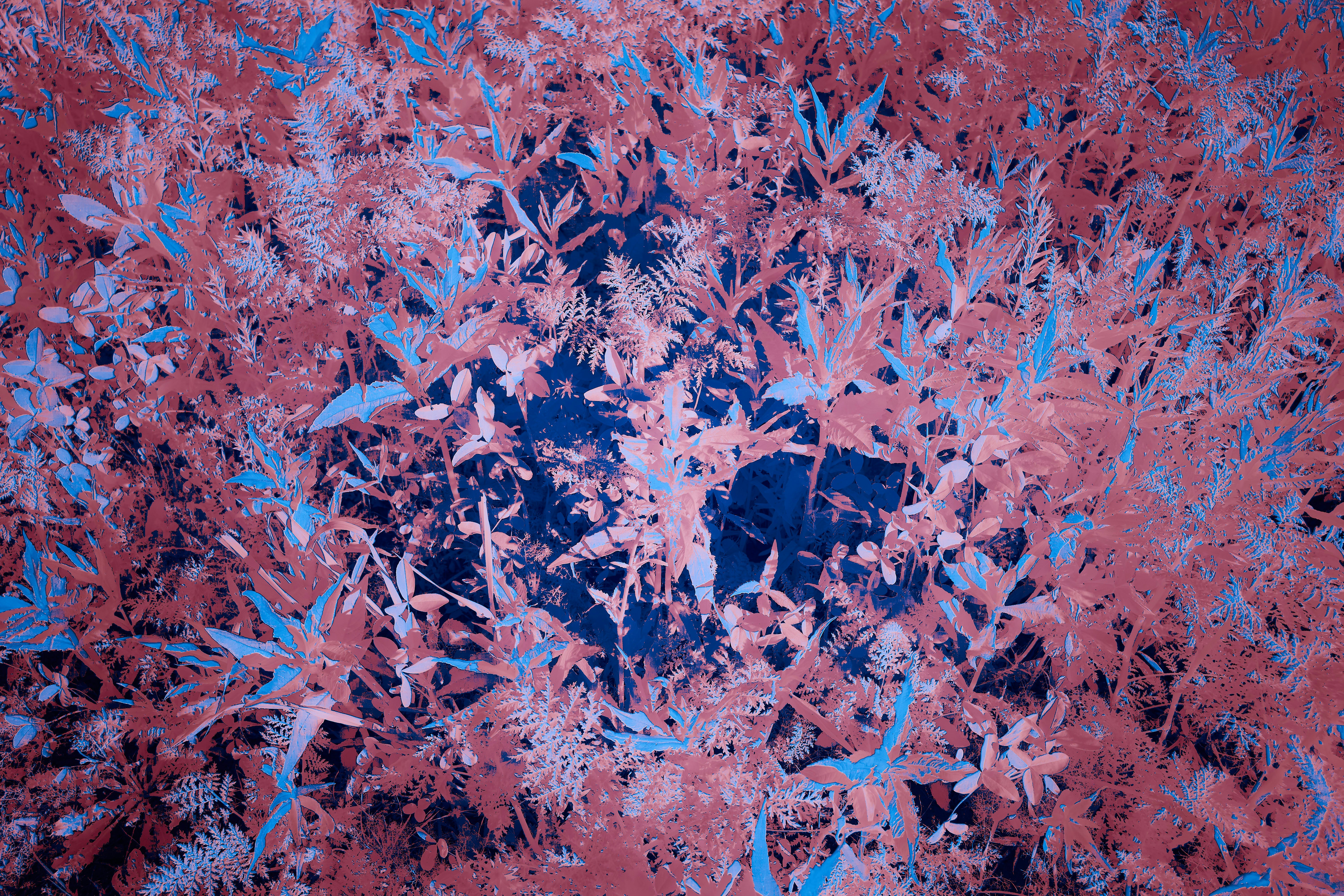 Photo by wolfgang_hasselmann