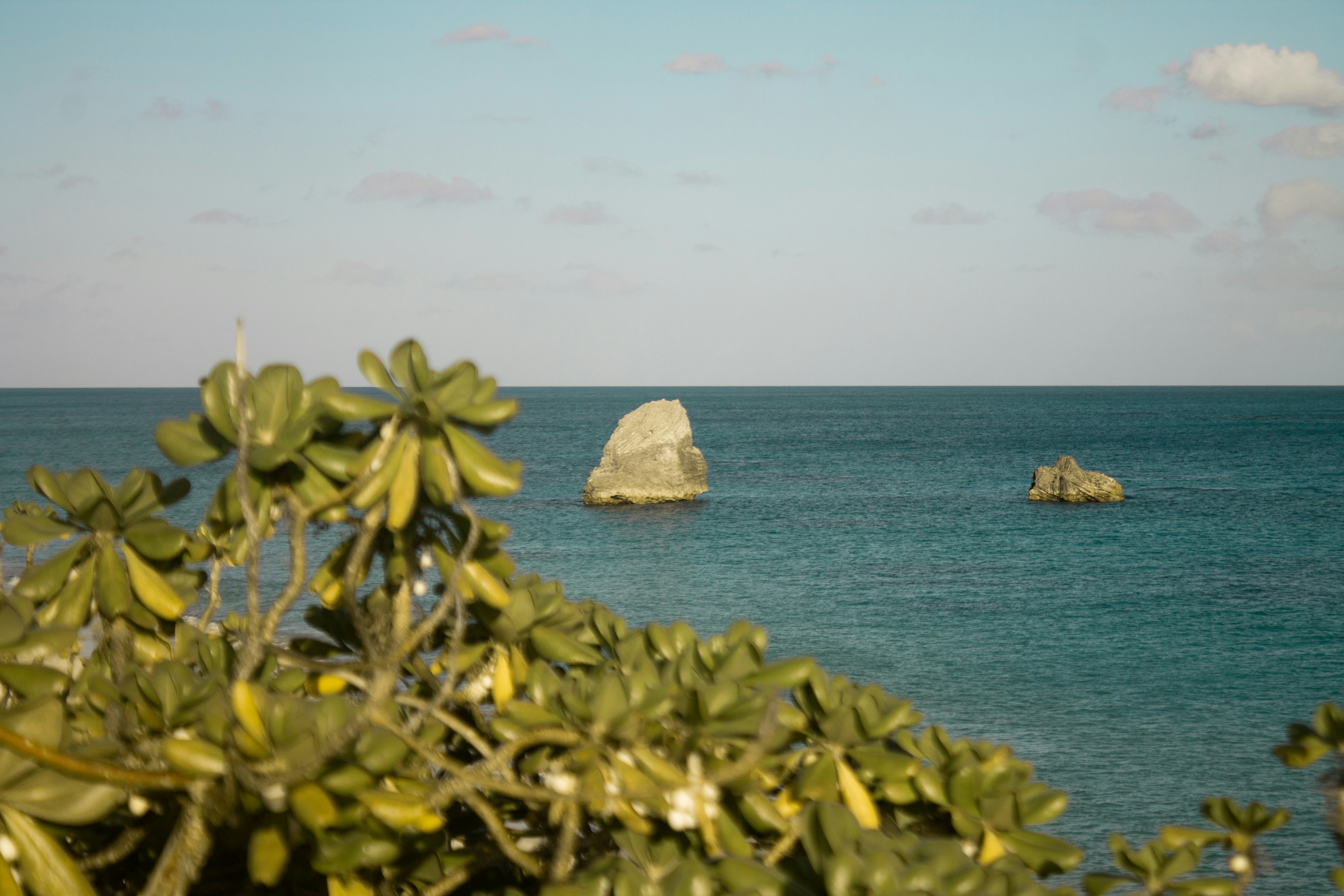 Photo by capturedbyhales