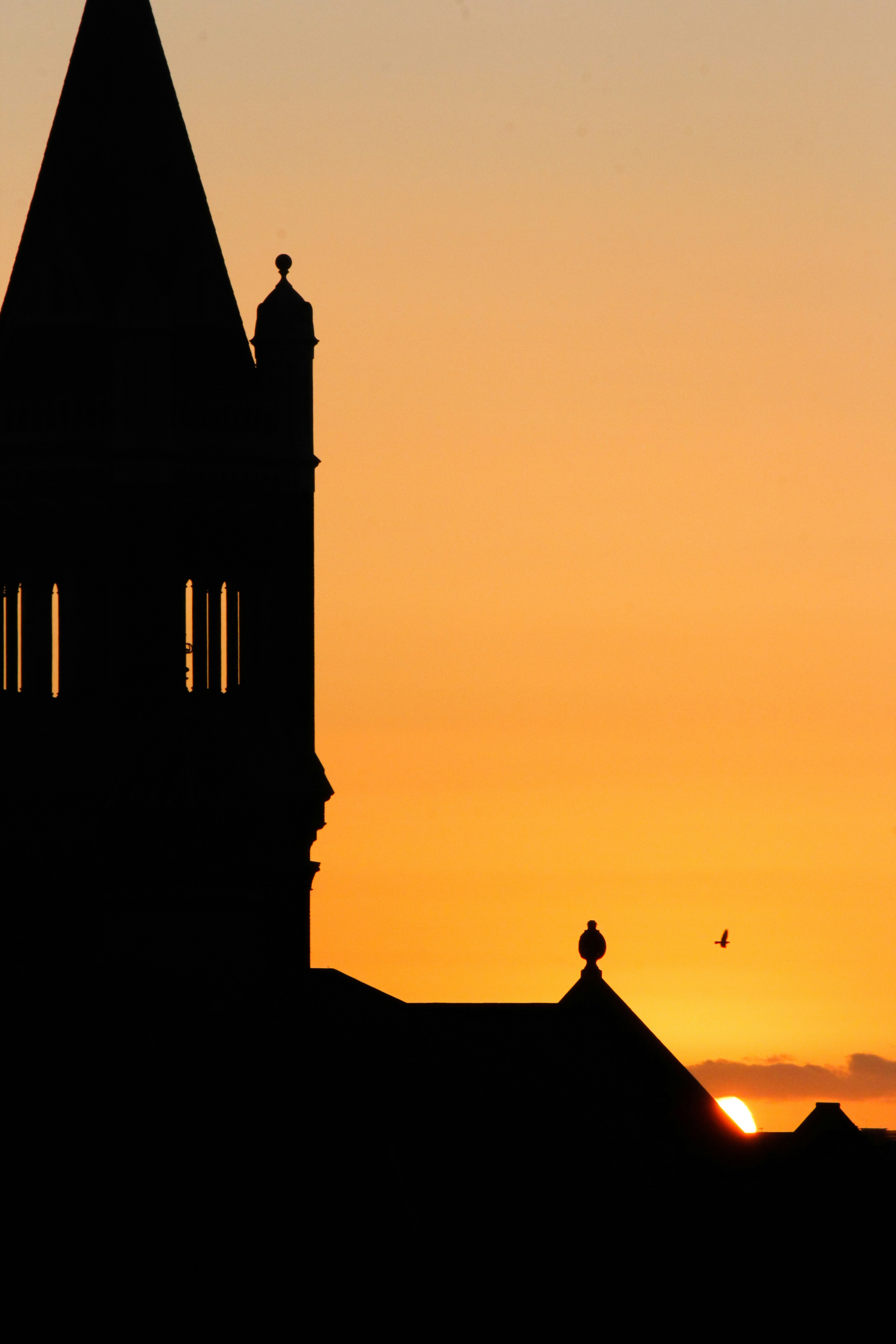 Photo by nao_takabayashi