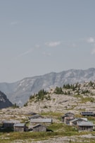 View of the Miners' Camp grounds showing the cabins spaced comfortably apart, surrounded by nature.