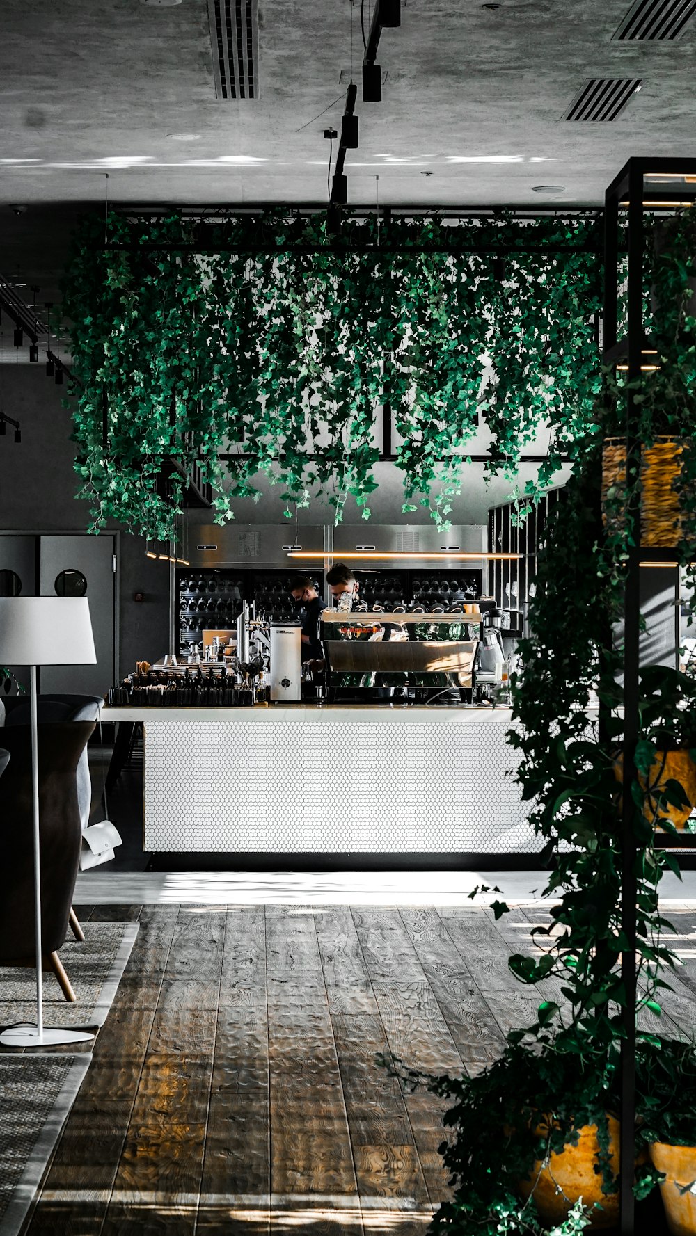 green plants on white wooden table