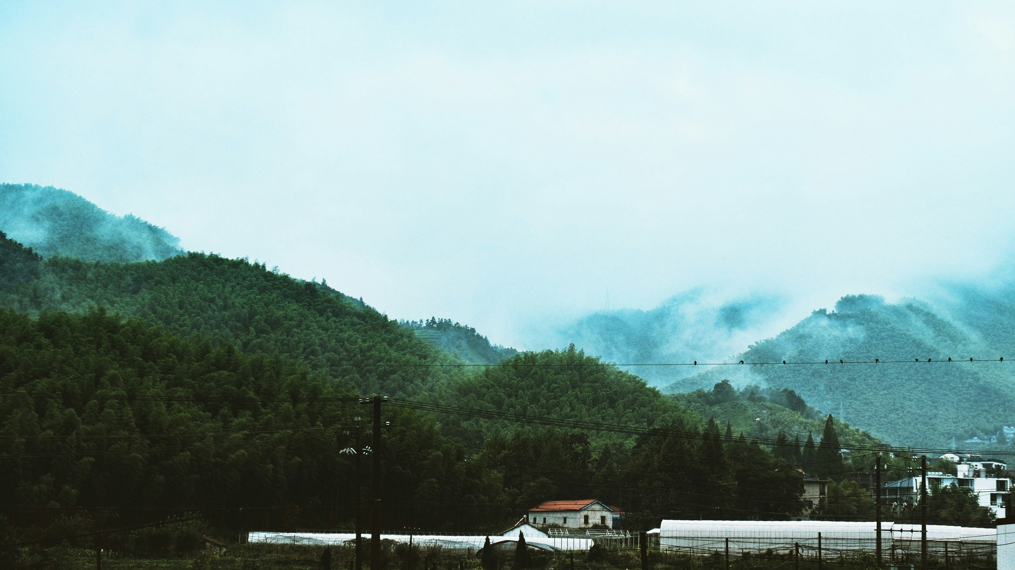Photo by deexu