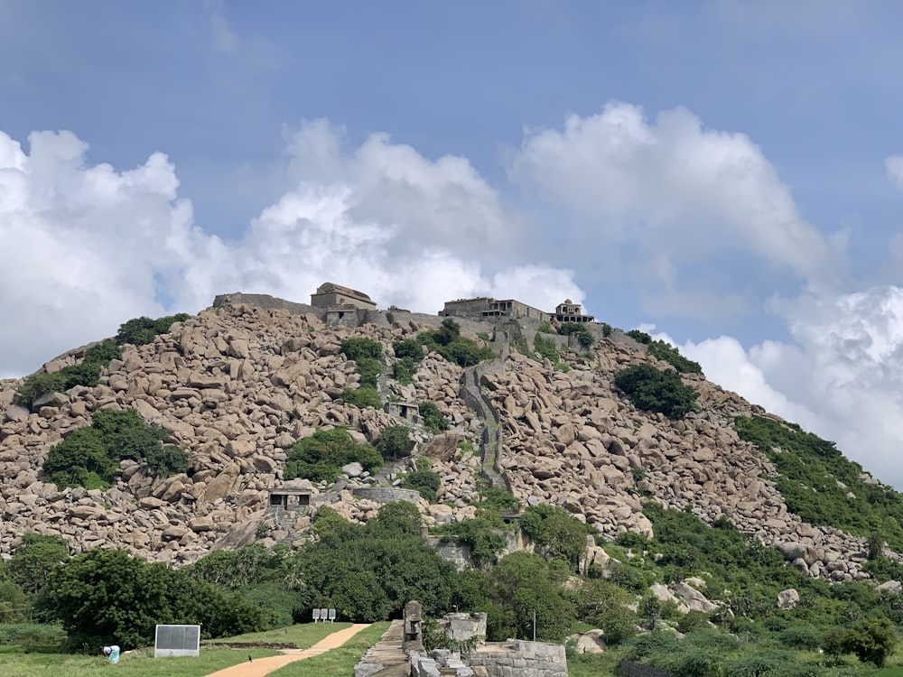 Alberi verdi sulla montagna marrone sotto cielo blu durante il giorno