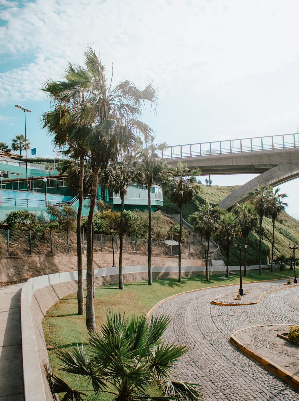 Palme verdi vicino all'edificio di cemento bianco durante il giorno