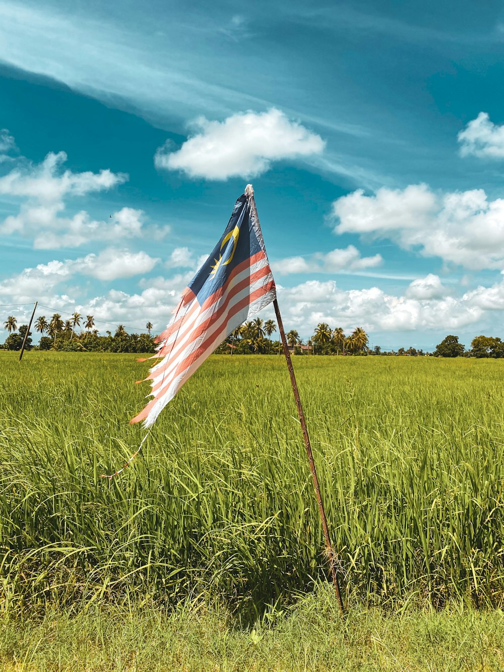 us a flag on green grass field under blue and white cloudy sky during daytime