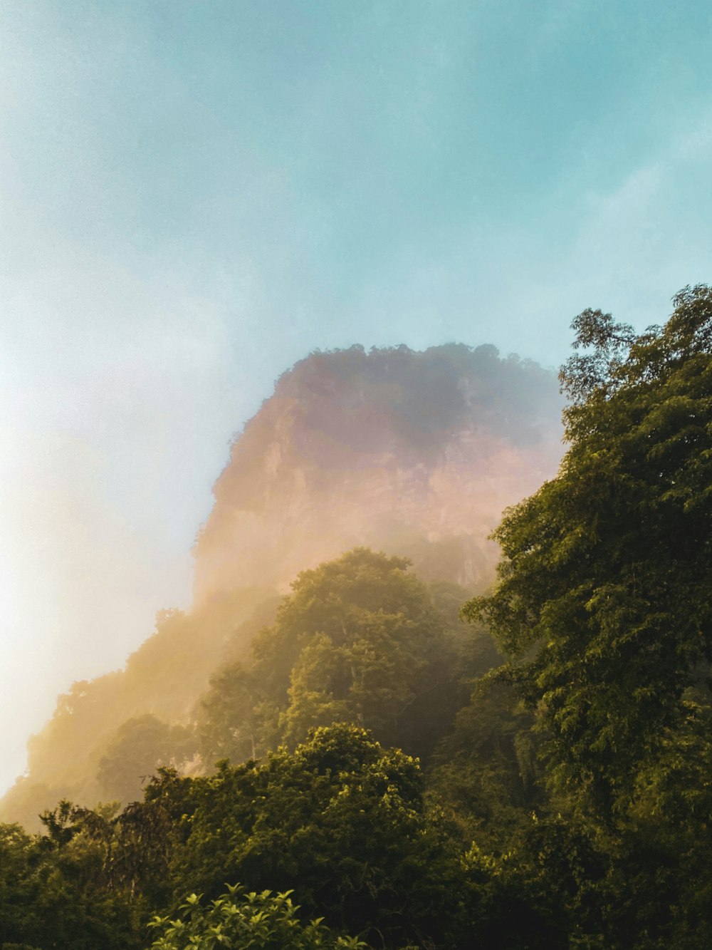 Des arbres verts sous des nuages blancs pendant la journée