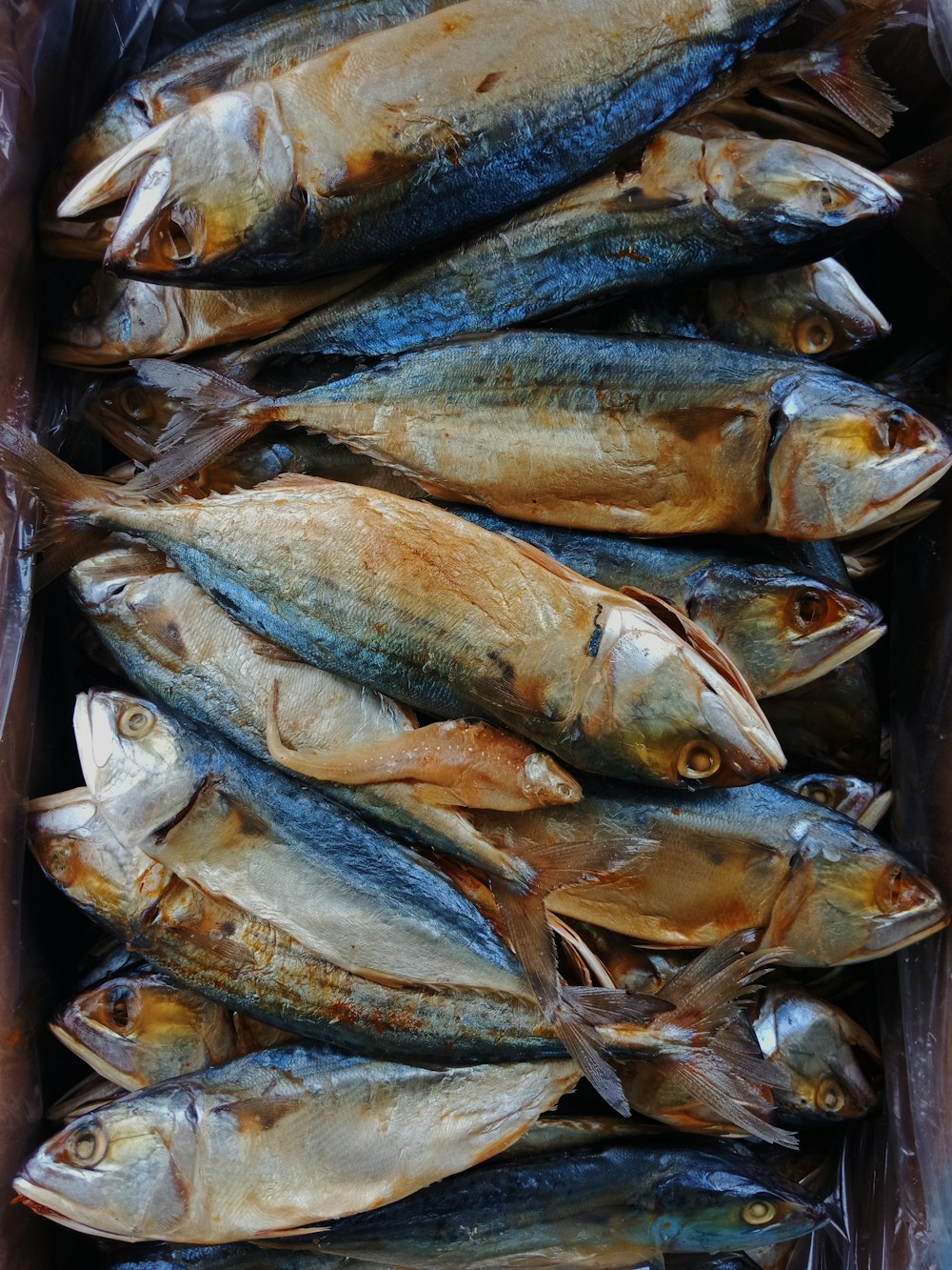 uma caixa cheia de peixes sentados em cima de uma mesa