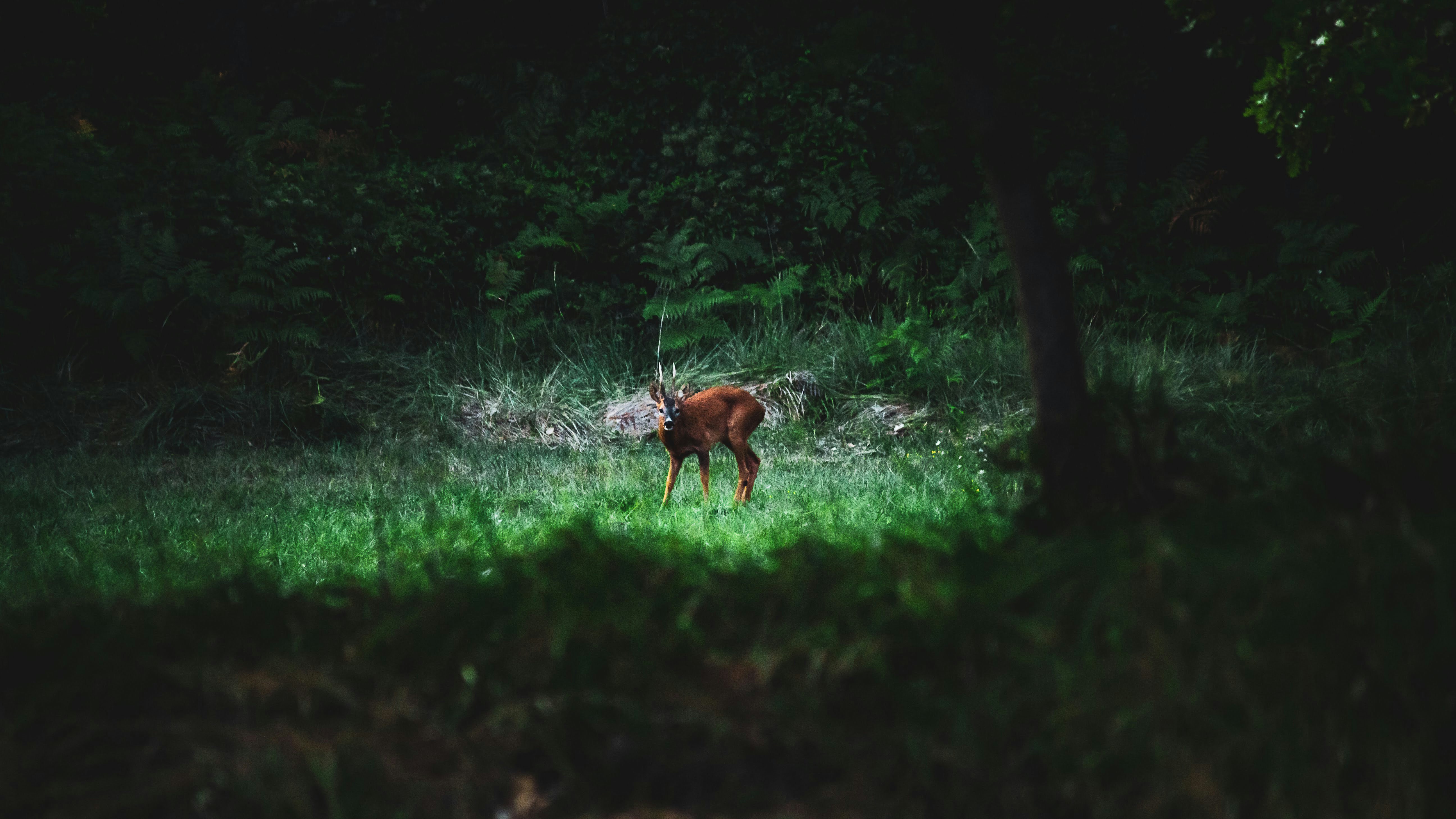 Photo by garnet_photographer