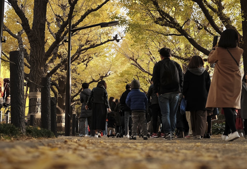 people walking on dirt road during daytime