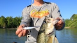 A person is holding a large fish and a silver fishing lure, standing near a body of water on a sunny day. The background shows green trees under a clear blue sky. The person's shirt has colorful branding on it.