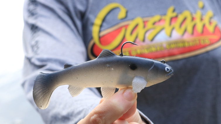 A person holds a realistic-looking fish lure, showcasing a detailed design resembling a live fish. The lure features a soft, flexible body with a gradient of dark gray to white, complete with fins and a hook on top. The person is wearing a shirt with bright colors and text, partially visible in the background.