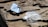 A white and silver fishing lure rests on a textured wooden surface. The lure has a metal spinner and fringed skirt, designed to attract fish. Sunlight casts shadows on the wood, highlighting its rugged texture.