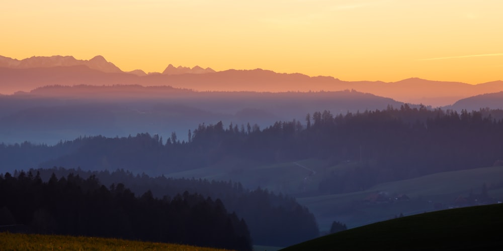 green trees on mountain during daytime