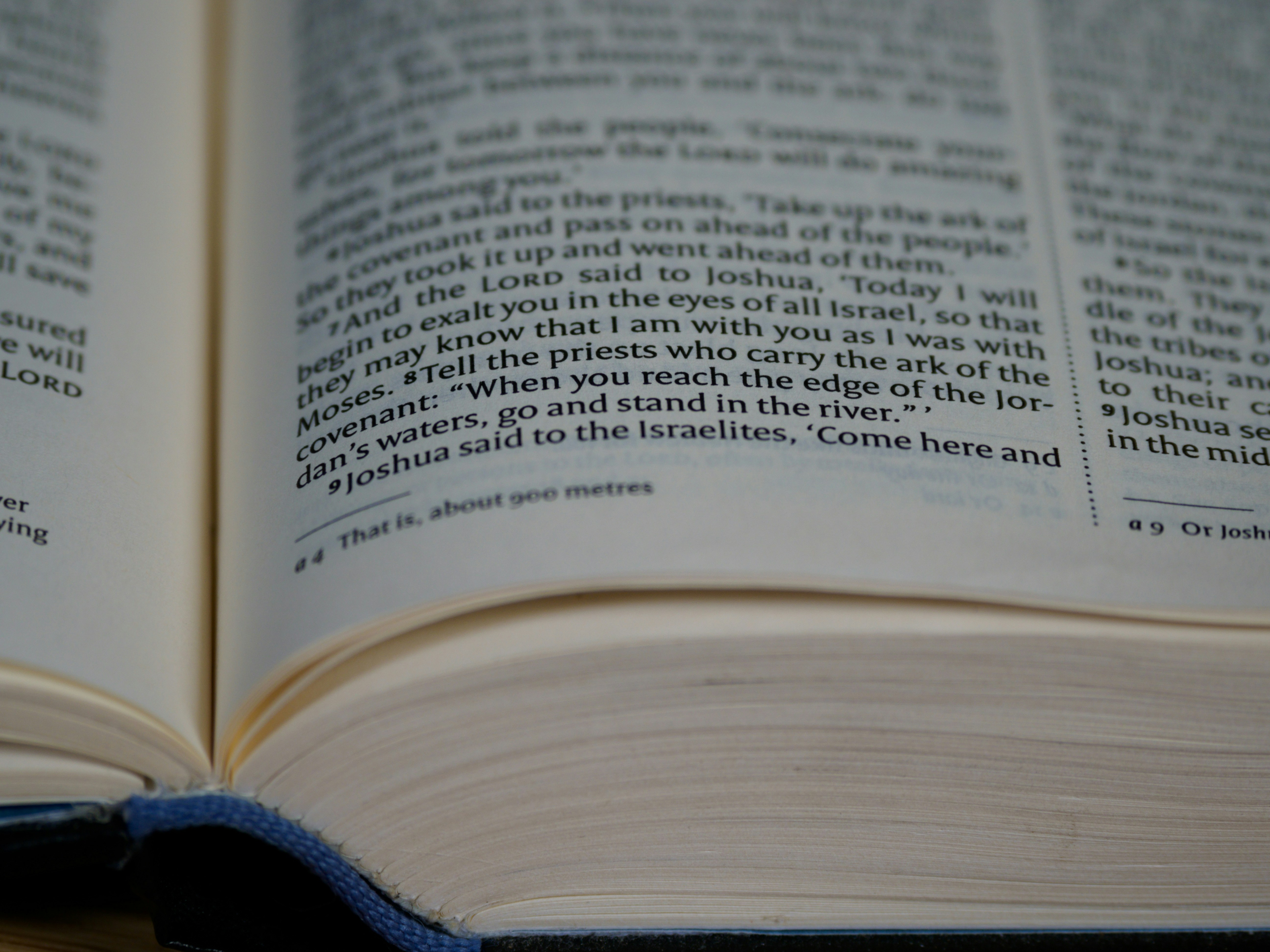 Photo by brett_jordan