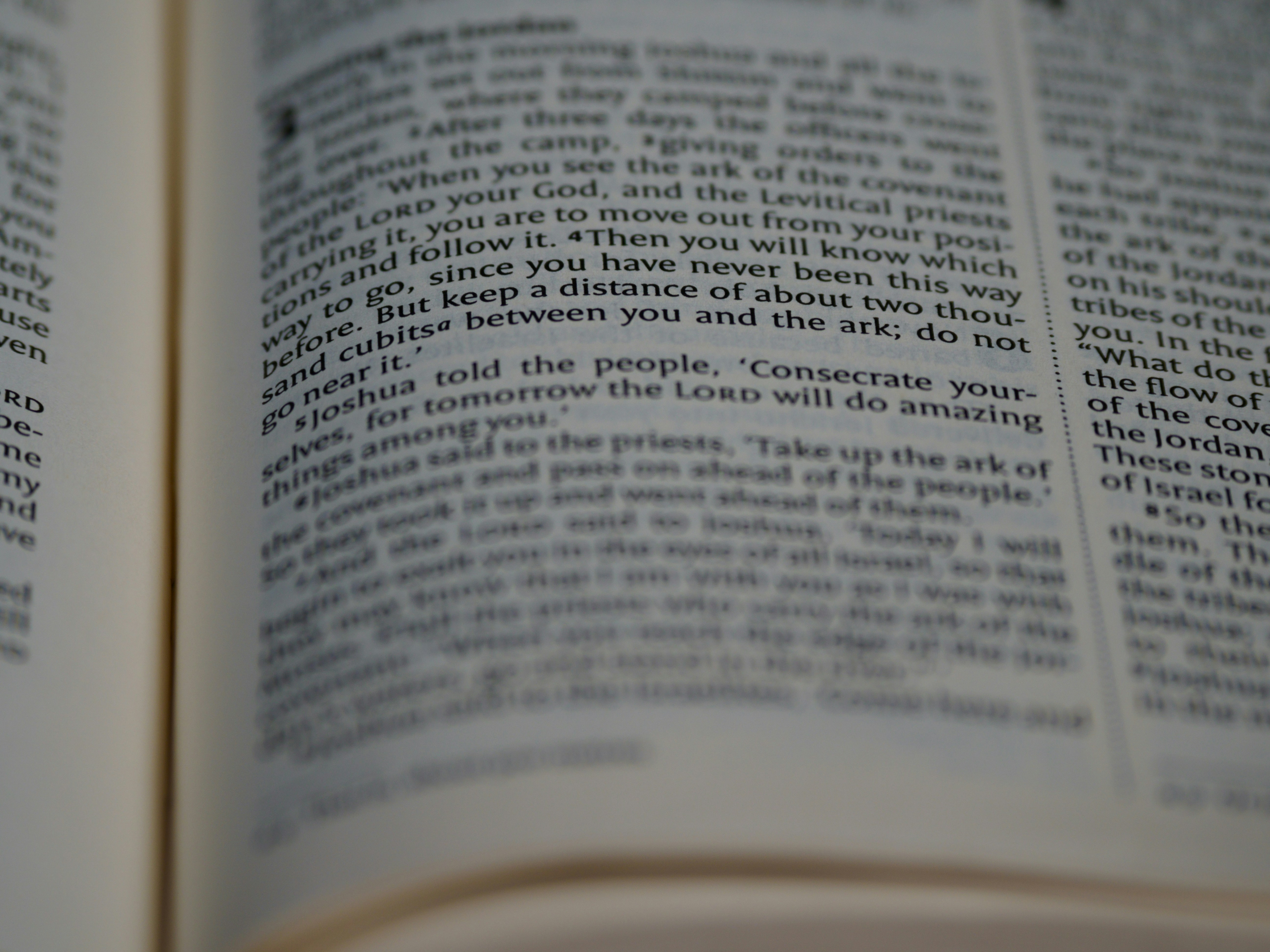 Photo by brett_jordan