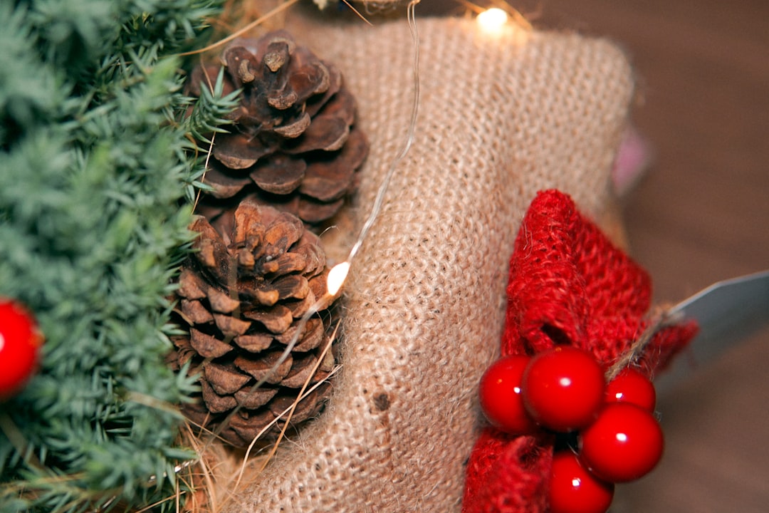 red fruit on brown pine cone,
