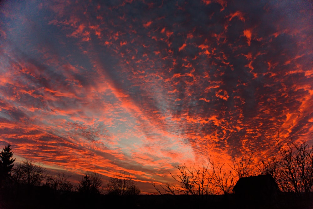 silhouette of trees under cloudy sky during sunset