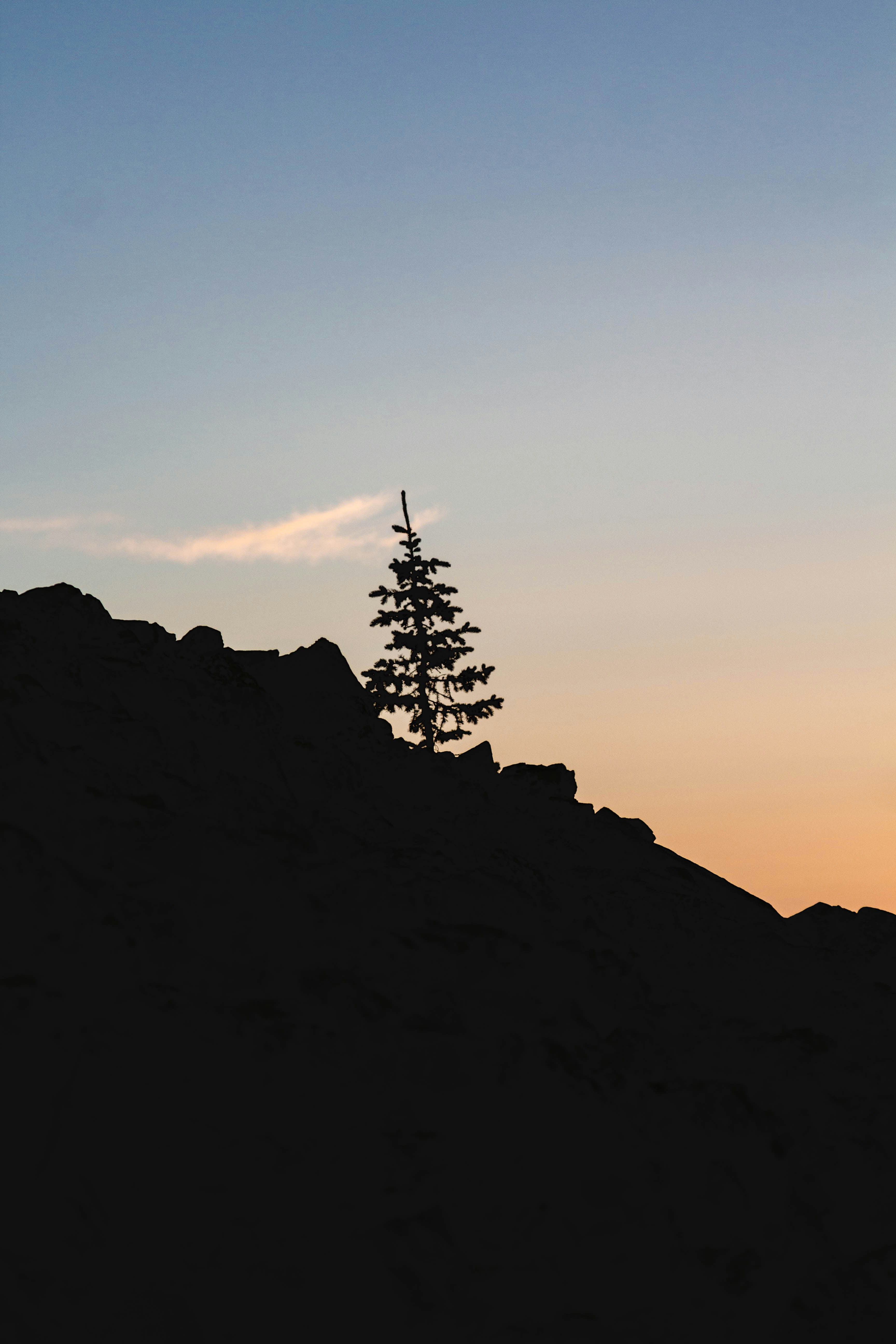 Photo by mason_hassoun