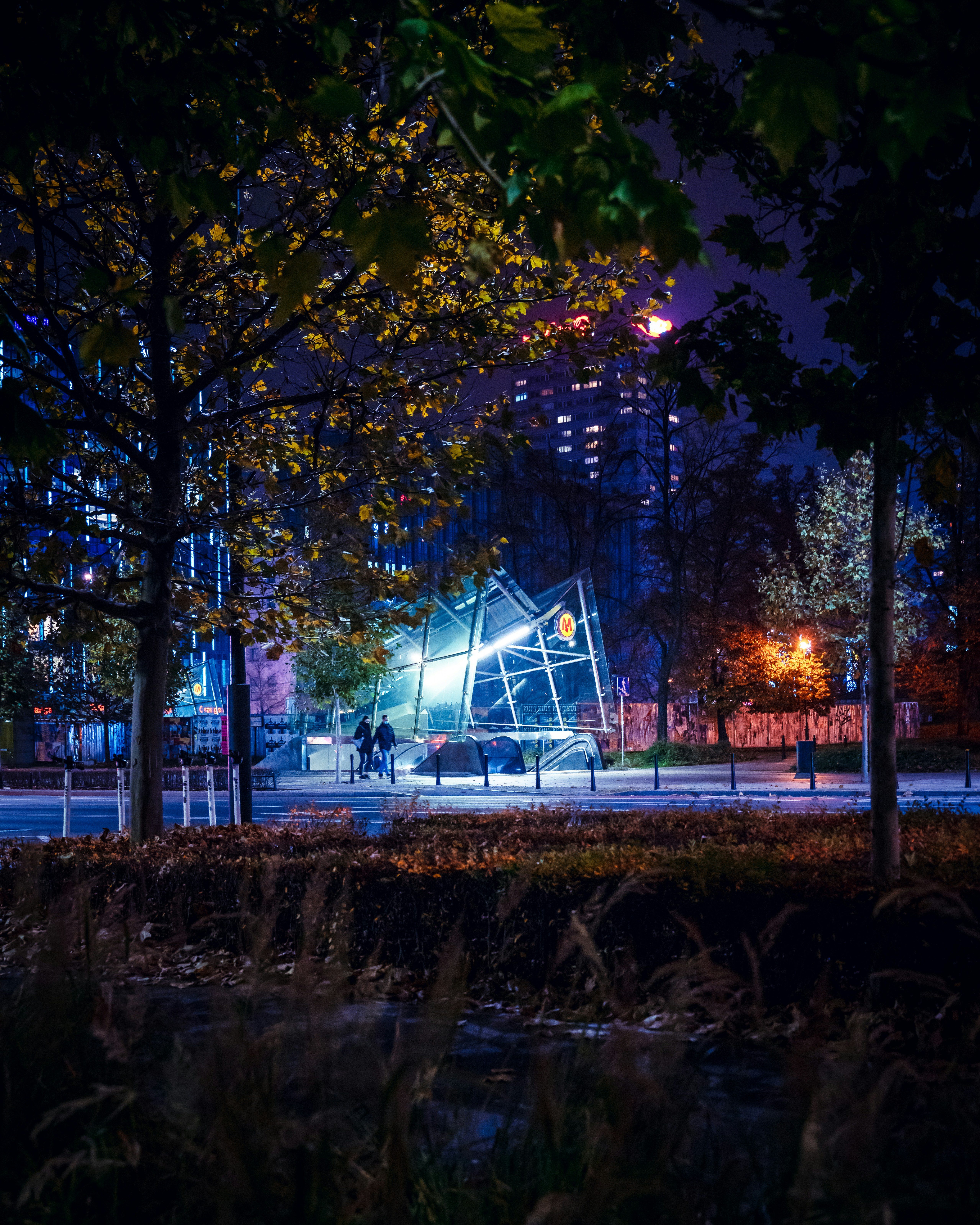 Photo by borkography