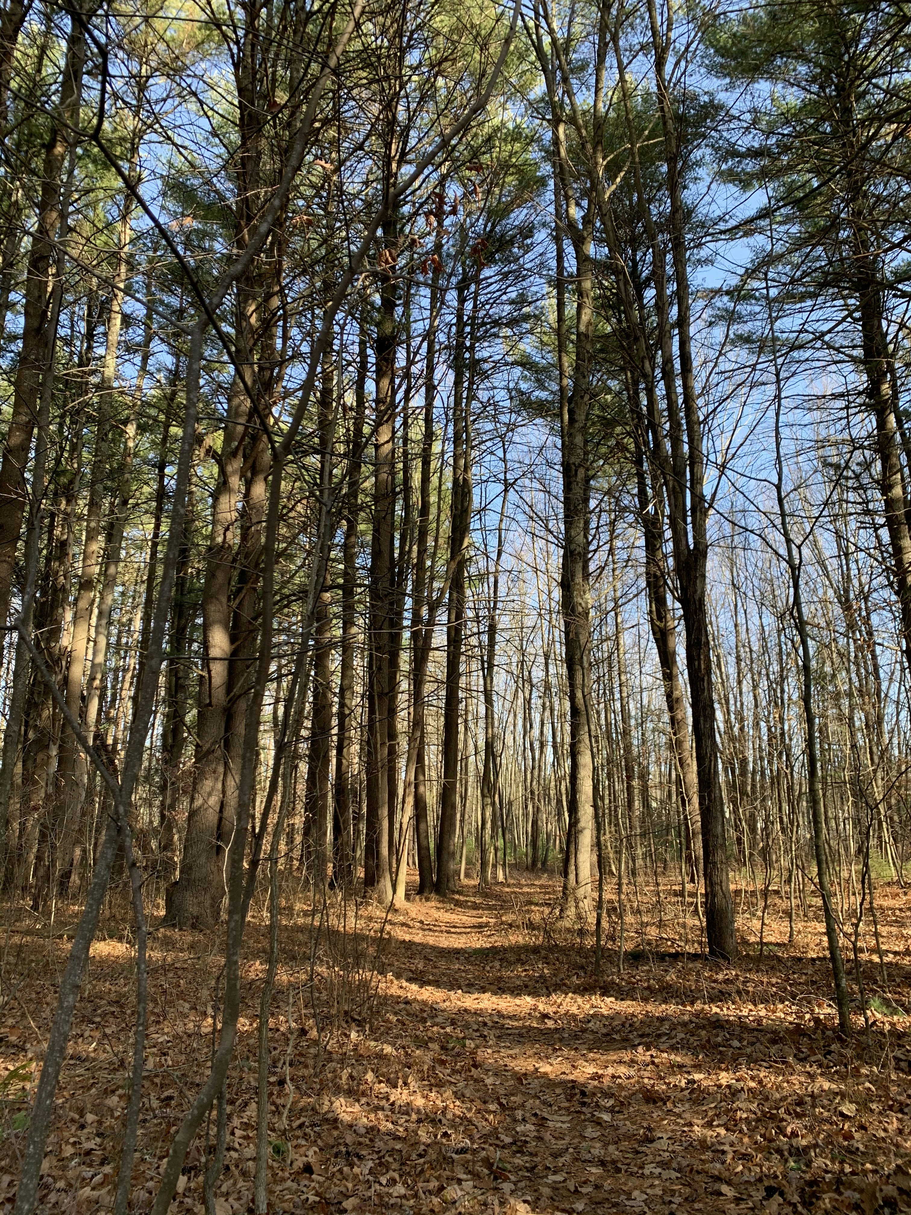 Photo by griffy_port