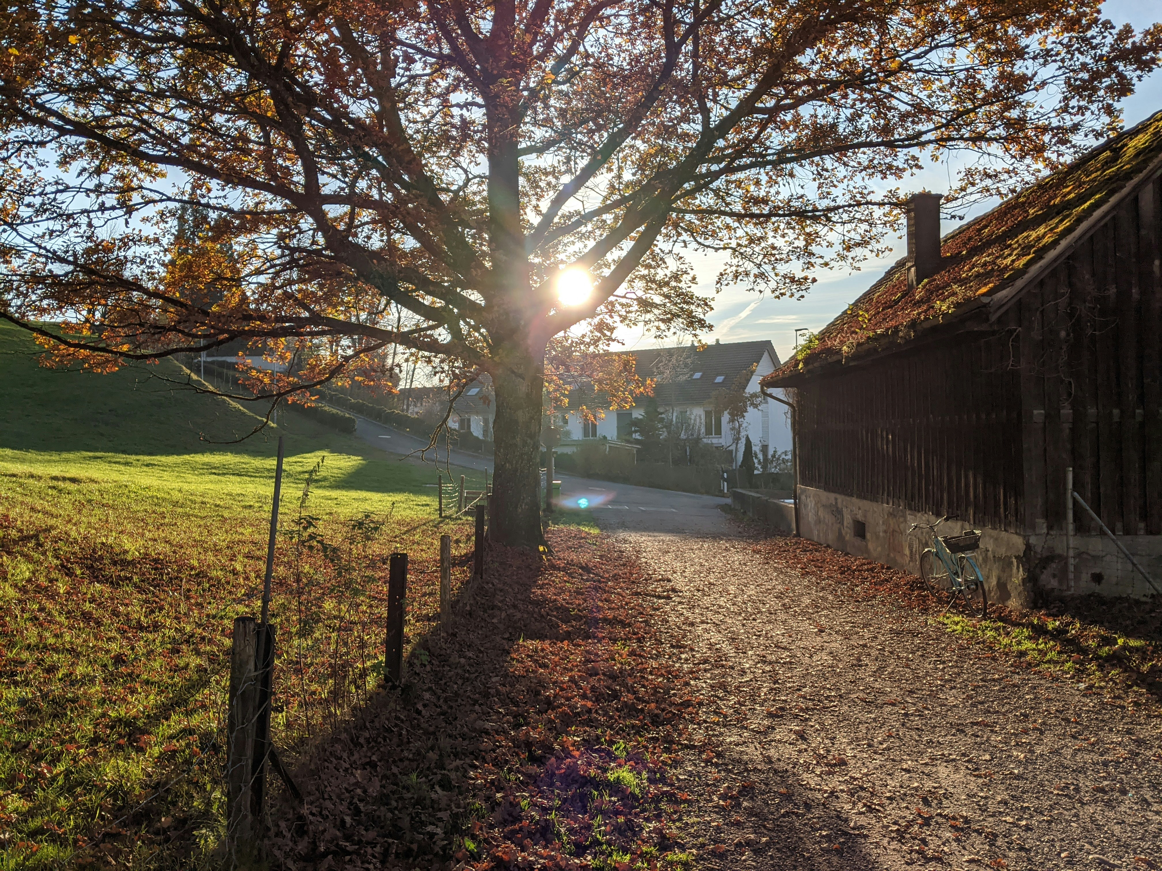 Photo by custom_project