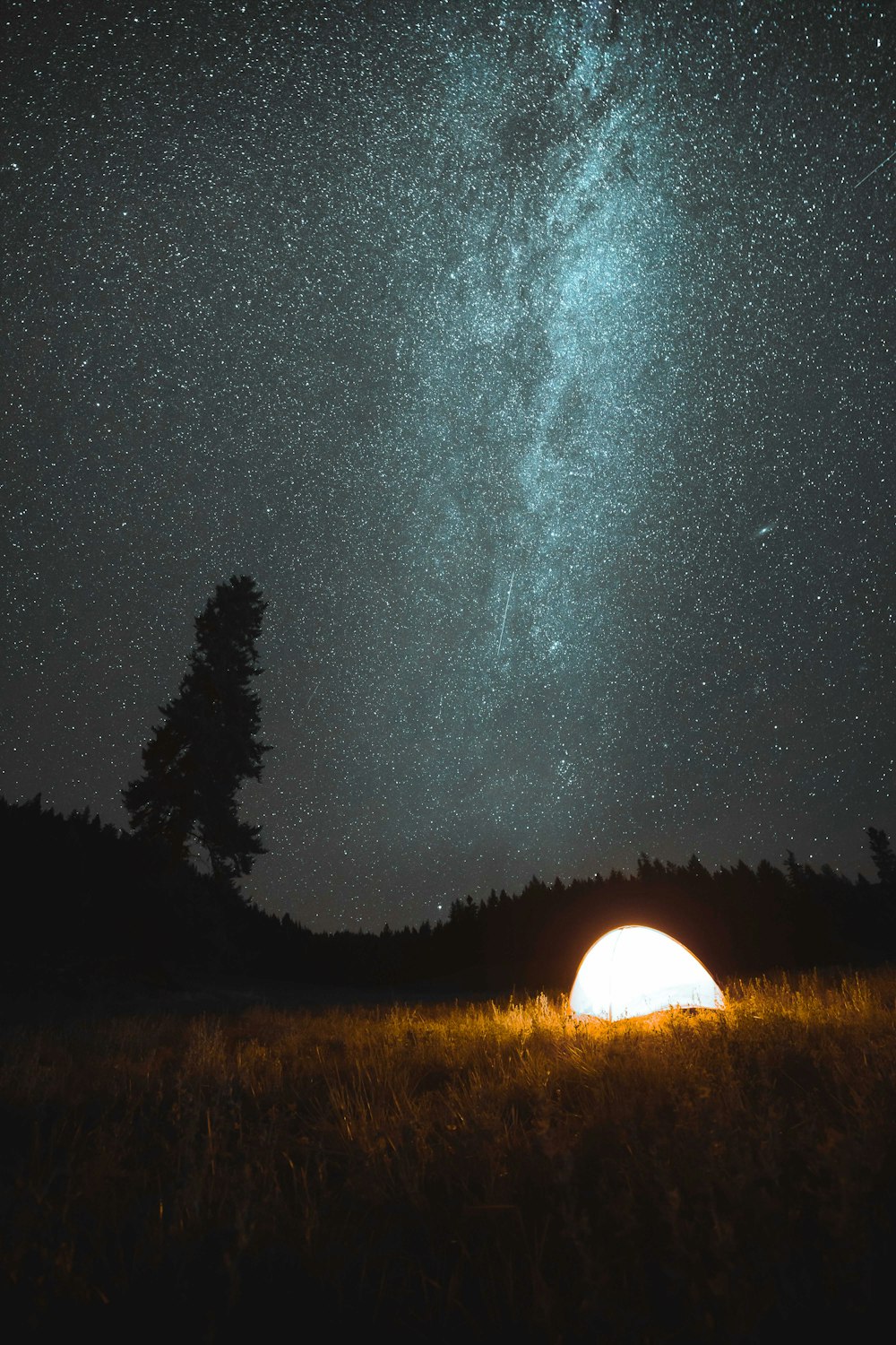 Champ d’herbe brune sous la nuit étoilée