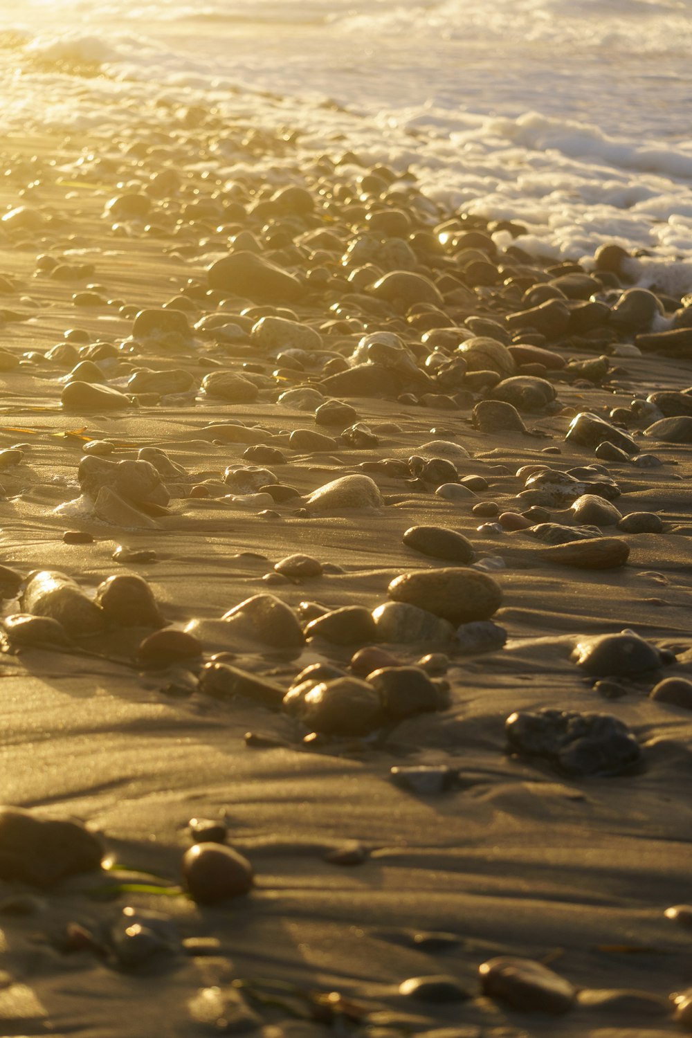 black stones on brown sand during daytime