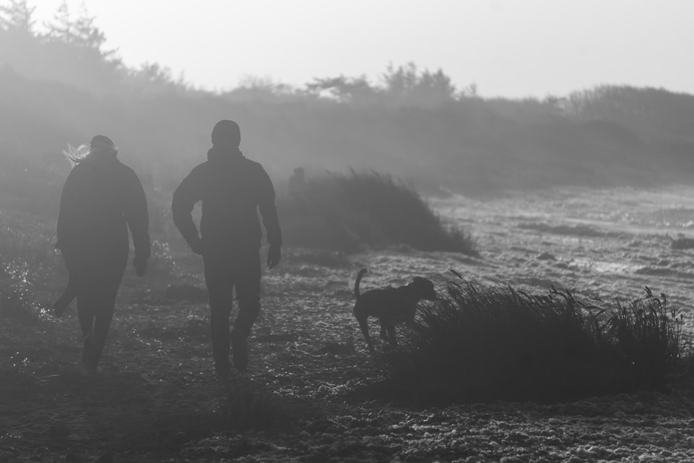 silhouette of man standing beside horse