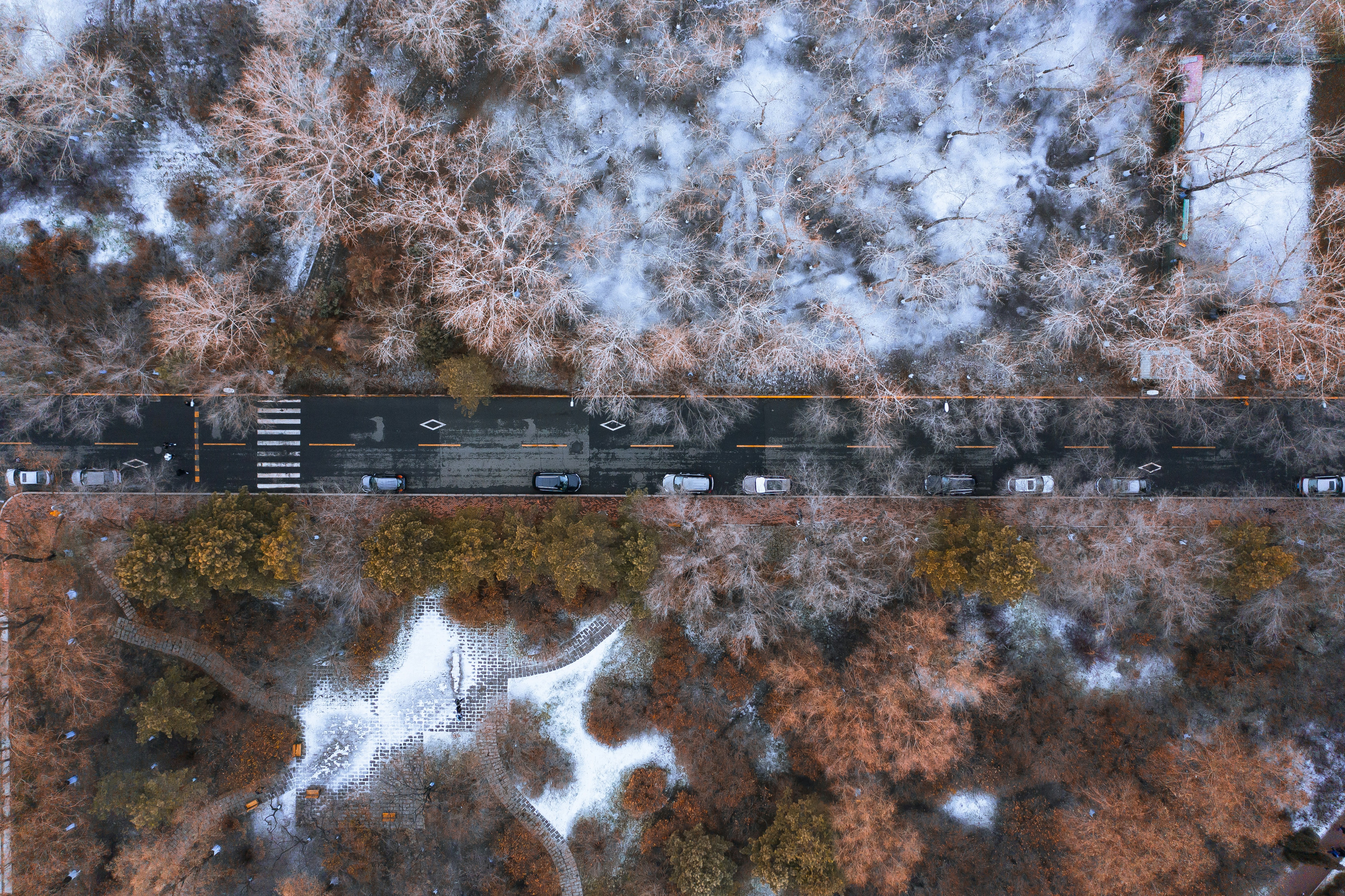 Photo by aserusainhuu