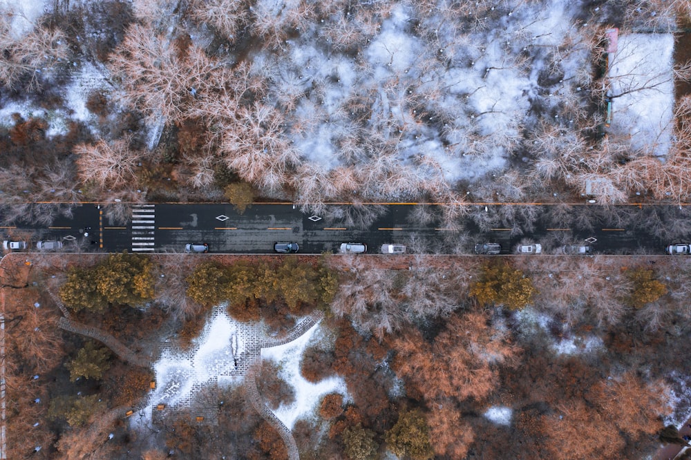 high angle view of city buildings and trees