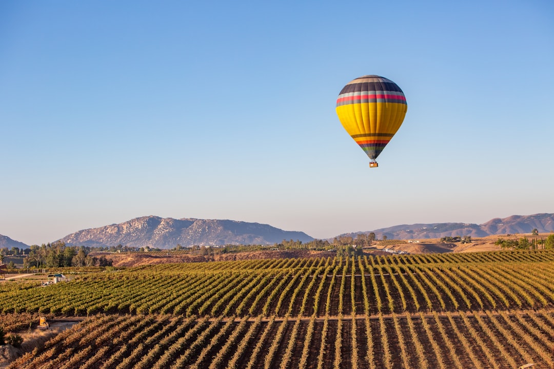 yellow blue and red hot air balloon in the sky over the green grass field