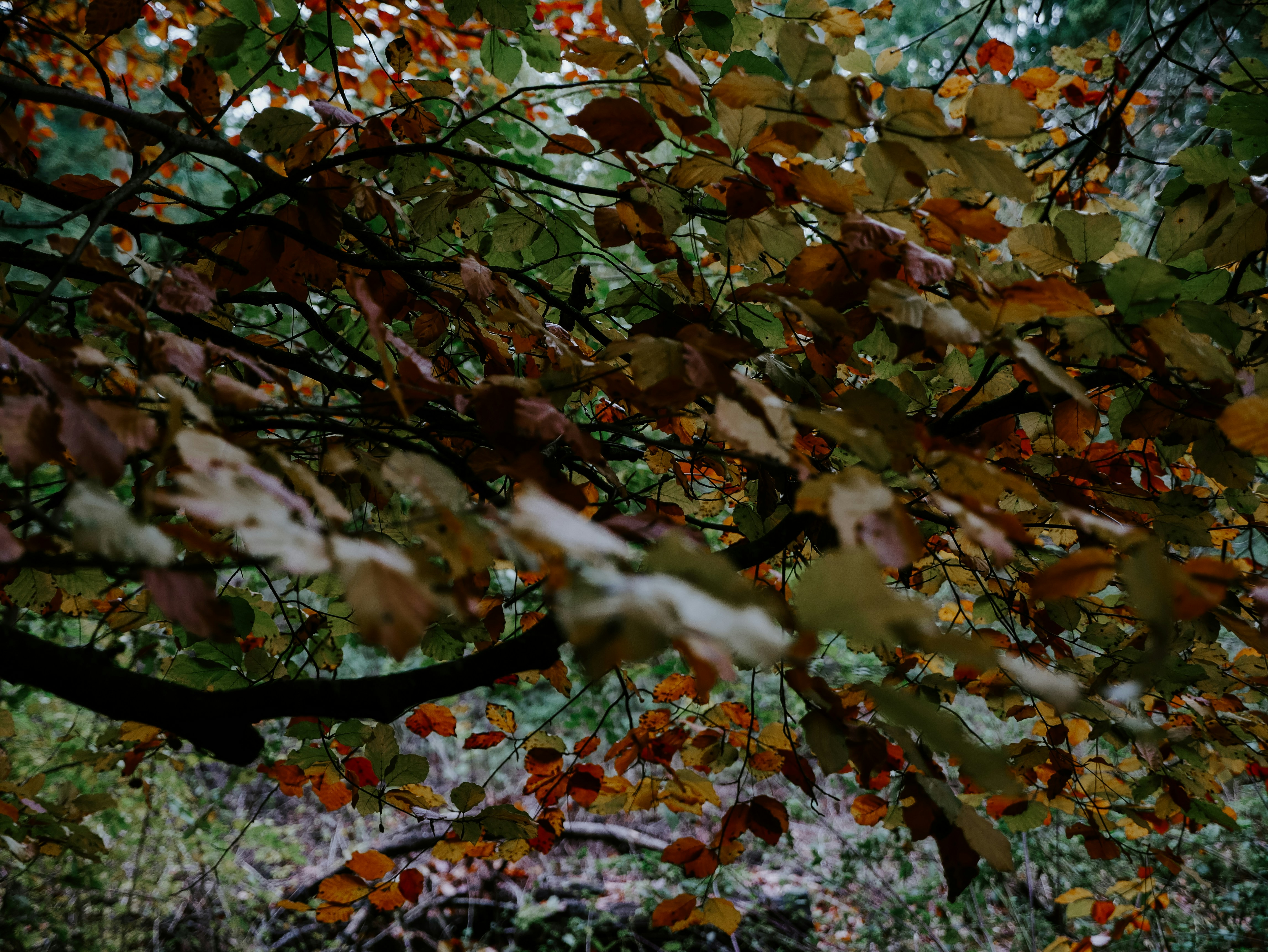 Photo by mattseymour