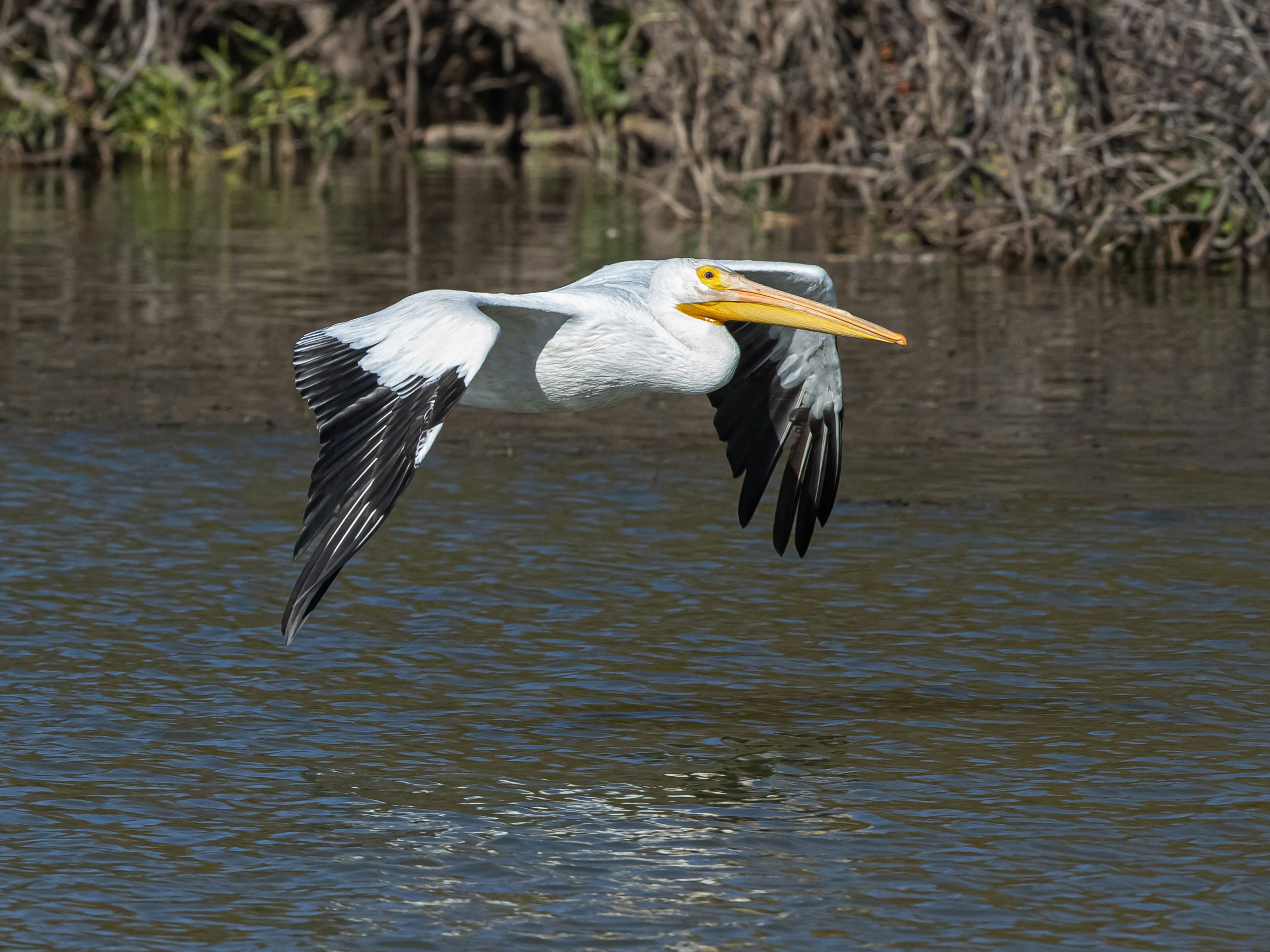 Fort Worth cityscape
