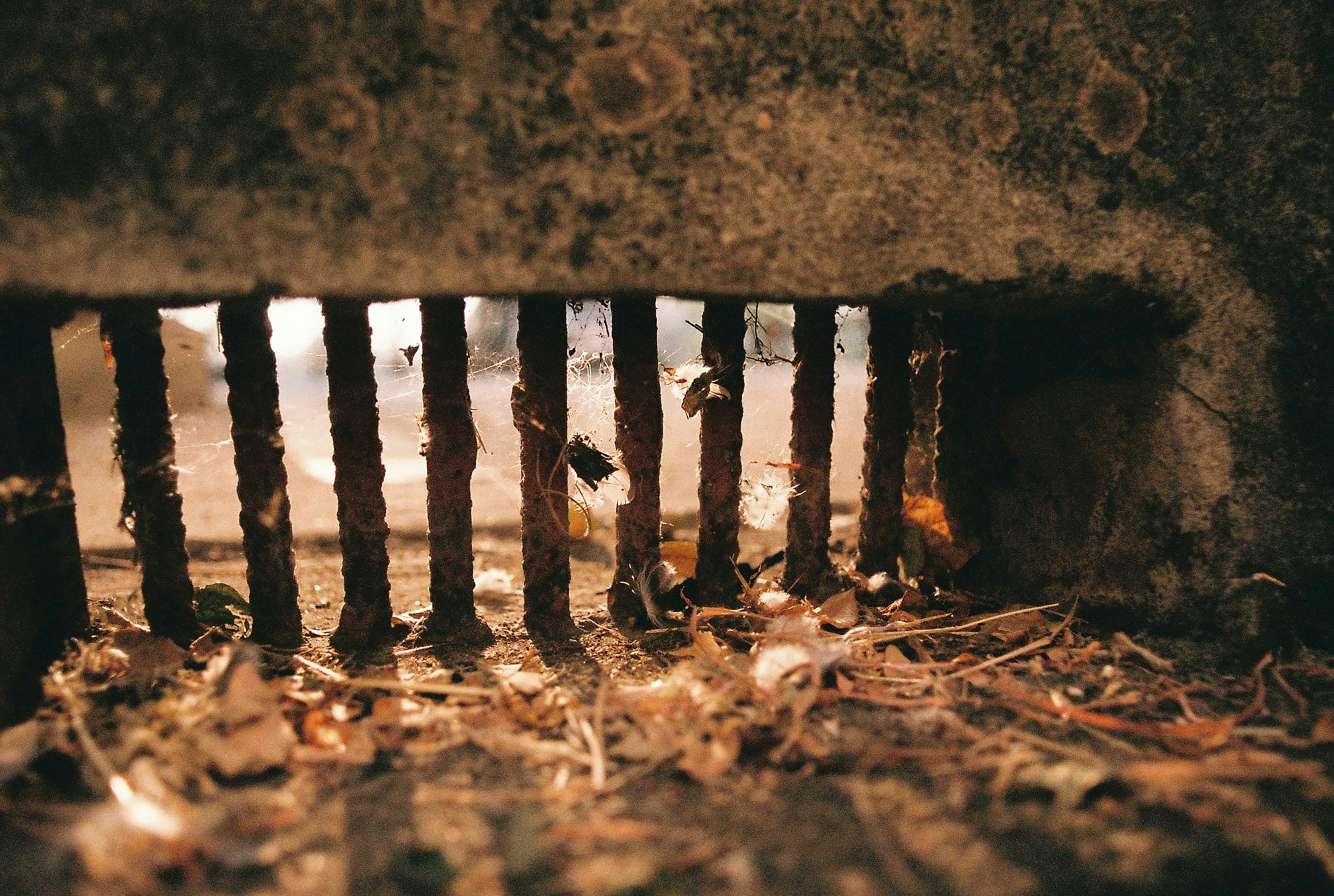 brown wooden fence on brown soil