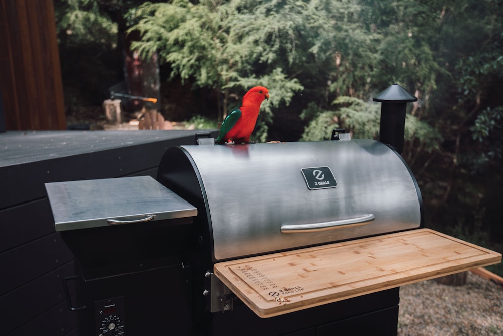 red bird on black and silver outdoor grill