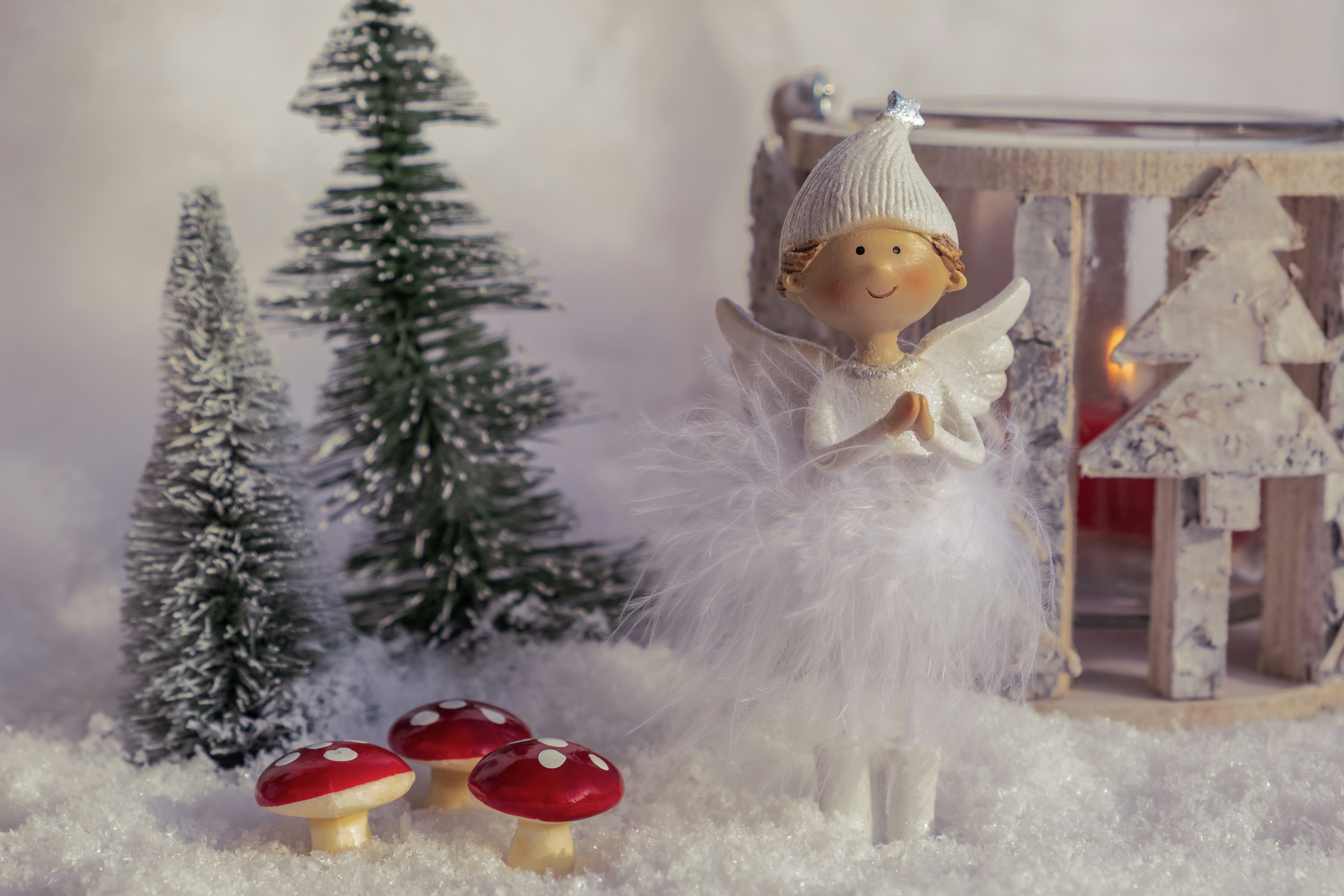 Photo by couleuroriginal