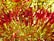 A close-up of vibrant hair tinsel strands in various colors, elegantly arranged to showcase their sparkle and shine.