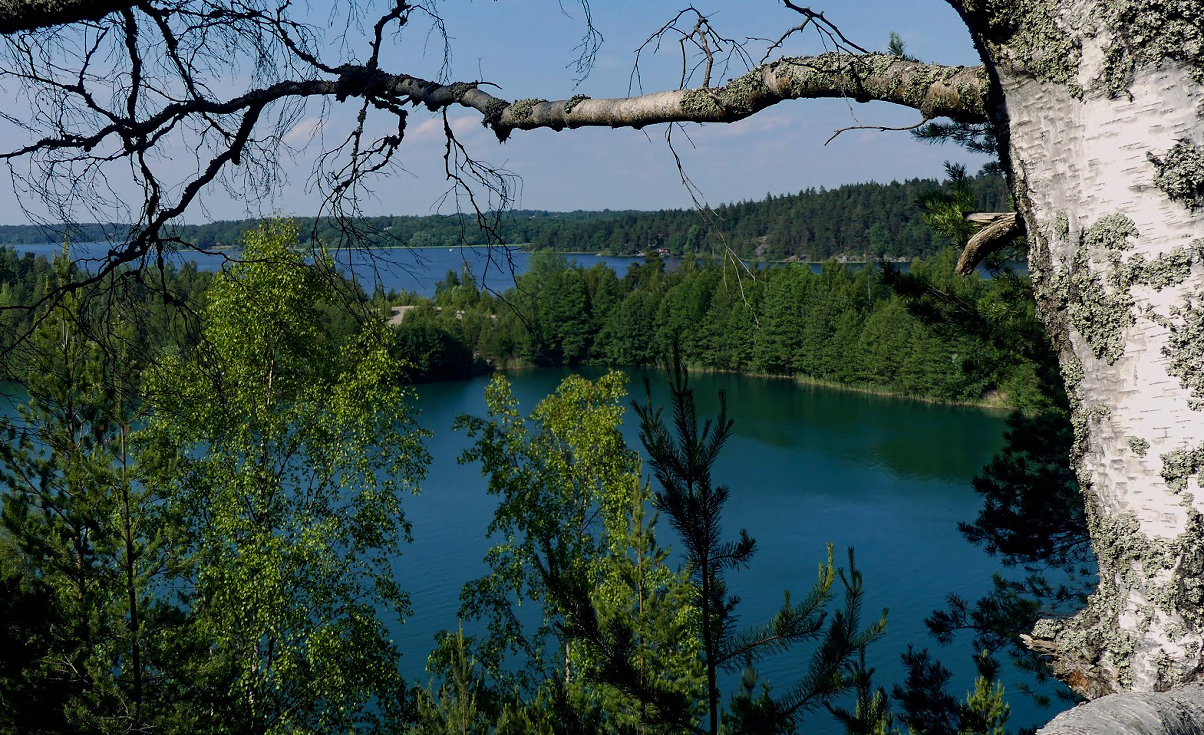 green trees beside blue lake during daytime