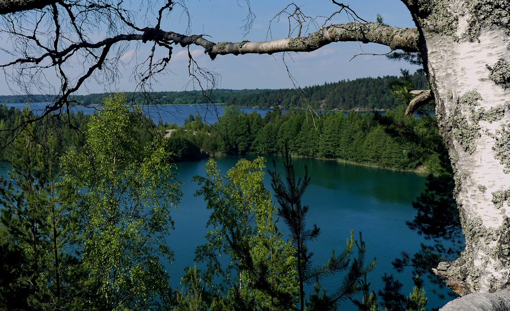 green trees beside blue lake during daytime