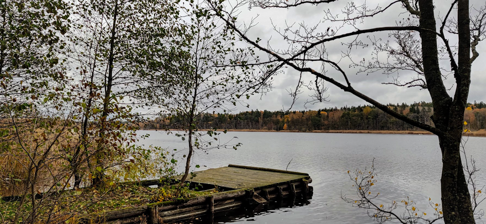 brown wooden dock on lake during daytime