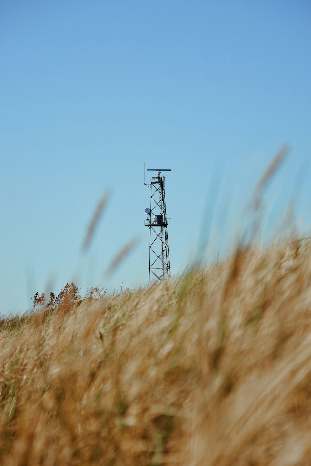 brown grass field with wind turbines under blue sky during daytime