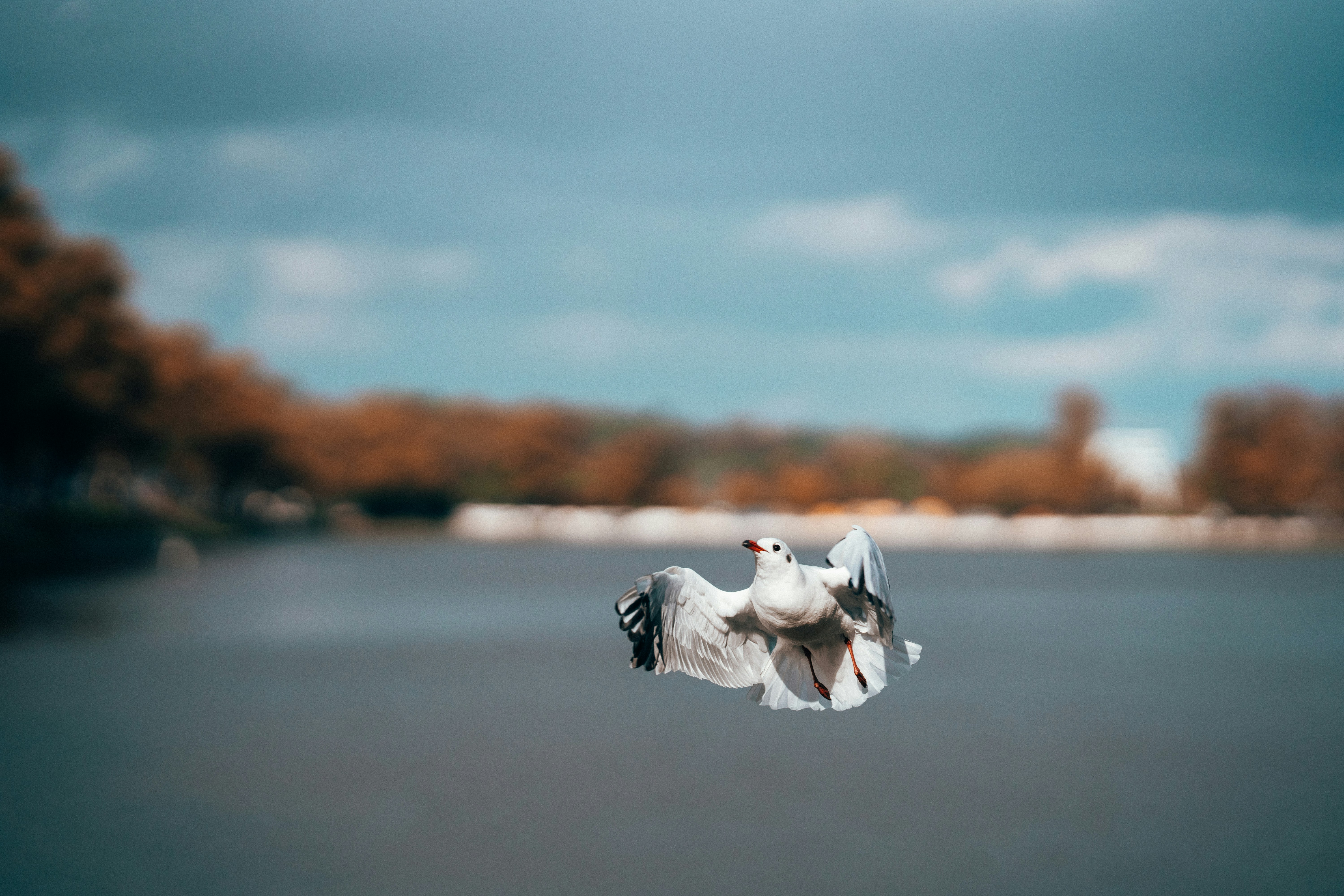 Photo by omarvellous14