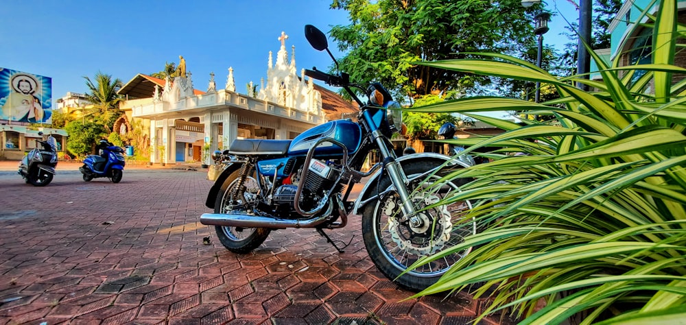 blue and black motorcycle parked beside green palm plant during daytime