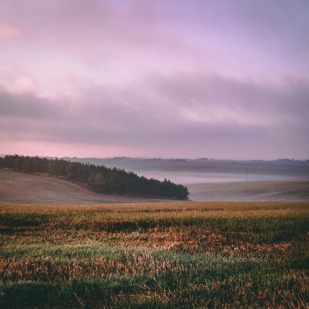 green grass field under cloudy sky during daytime