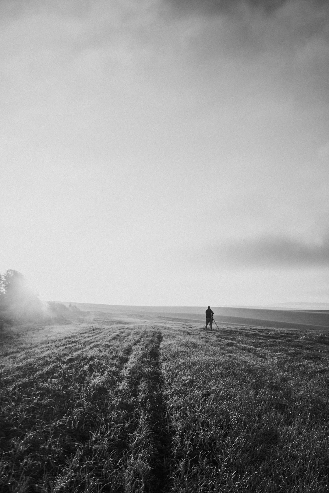grayscale photo of 2 person walking on grass field
