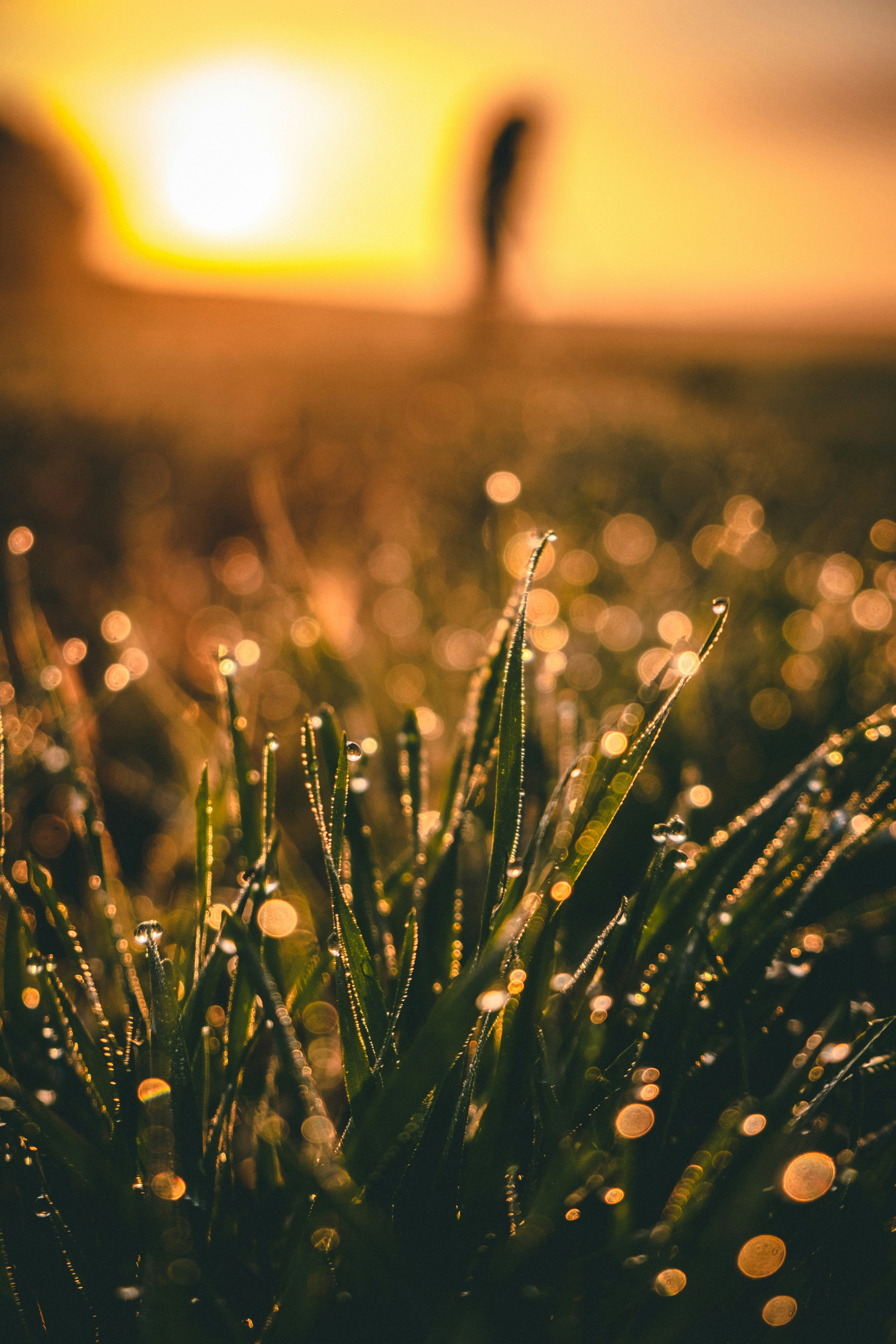 Photo by tetianapadurets