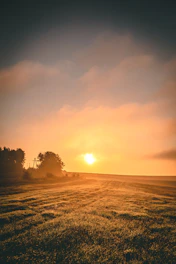 A serene agricultural field at sunrise with dewy crops and a farmer tending the land.